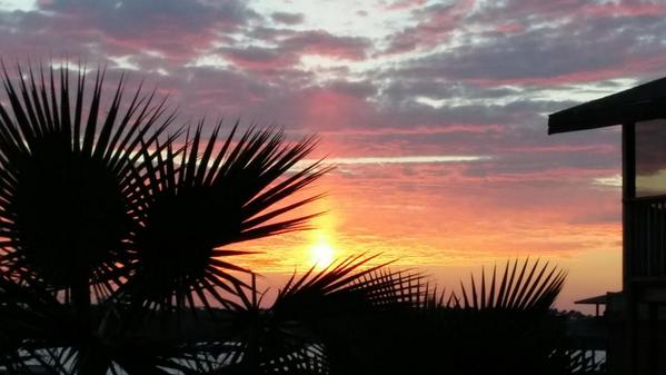 sheilasmith65's tweet photo. . http://t.co/sgnKJQoGLw