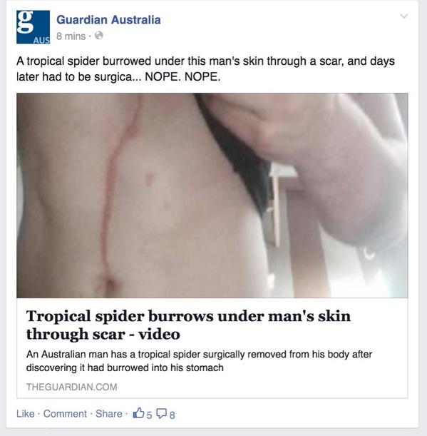 TheNTNews's tweet photo. HEY @GuardianAus WE WONT WRITE LENGTHY MIDDLE CLASS THINKPIECES AND YOU STAY AWAY FROM OUR HUMAN SKIN SPIDERS. DEAL? http://t.co/IKi0YXPMAQ