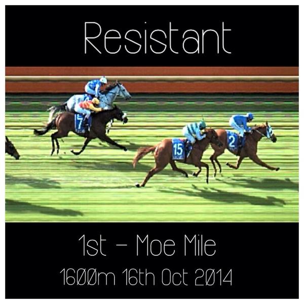 Lincracing's tweet photo. Great run by our durable Little Bull, Resistant yesterday. He's now the reigning Moe Mile champion @Resistant_Bull http://t.co/7lYBltLkSt