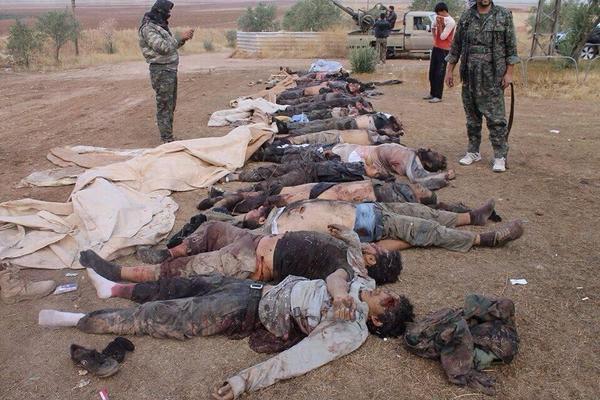 daes_daesh's tweet photo. صورة  عشرات القتلى من مسلحي داعش إلارهابى على يد المقاتلين الاكراد في عين العرب وانسحاب المسلحين الى اطراف المدينة http://t.co/TWmn77eBL2