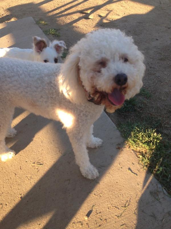 Taylor Goss 🏡 tweet media