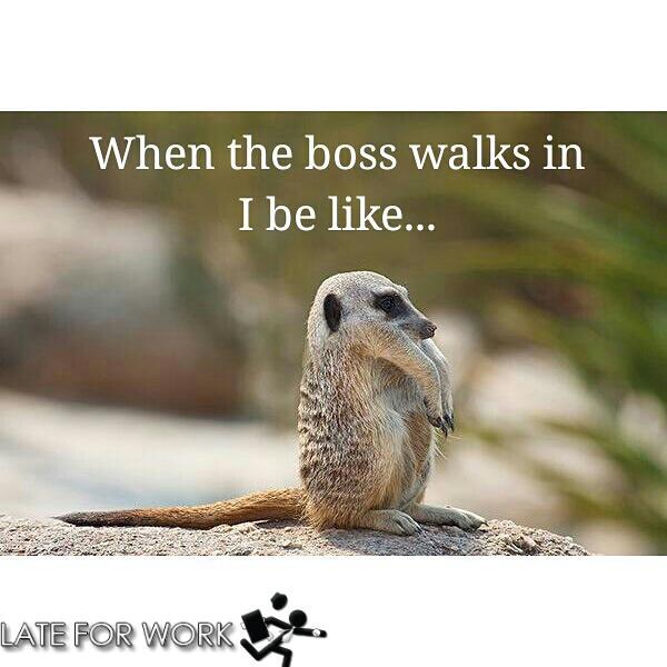 YourLateForWork's tweet image. #LateForWork #LateForWorkLLC #Meme #WhenTheBossWalksInIBeLike