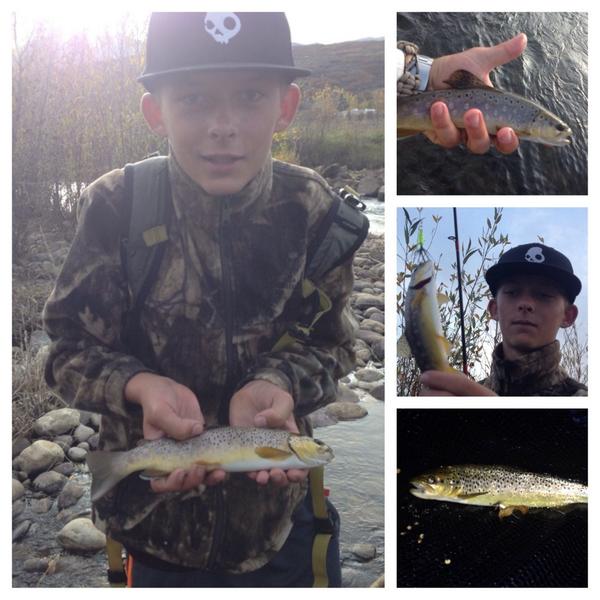 raisingnumbers's tweet image. Took my Nephew out today, 20+ fish and fun Lots of fun @TeamSantone @FlyandFin @FishDrift @simmsfishing @sageflyfish