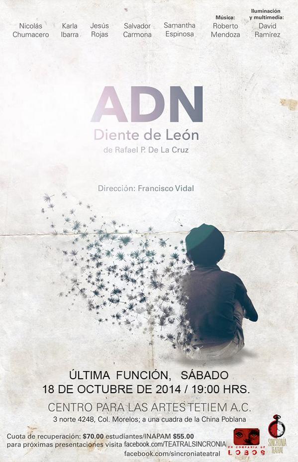 Packovigo's tweet photo. En recta final del año, ADN, diente de león de @rafapdelacruz  Ultima función. "Me llamo Sara" "Sara" http://t.co/ti4Zwczf2D