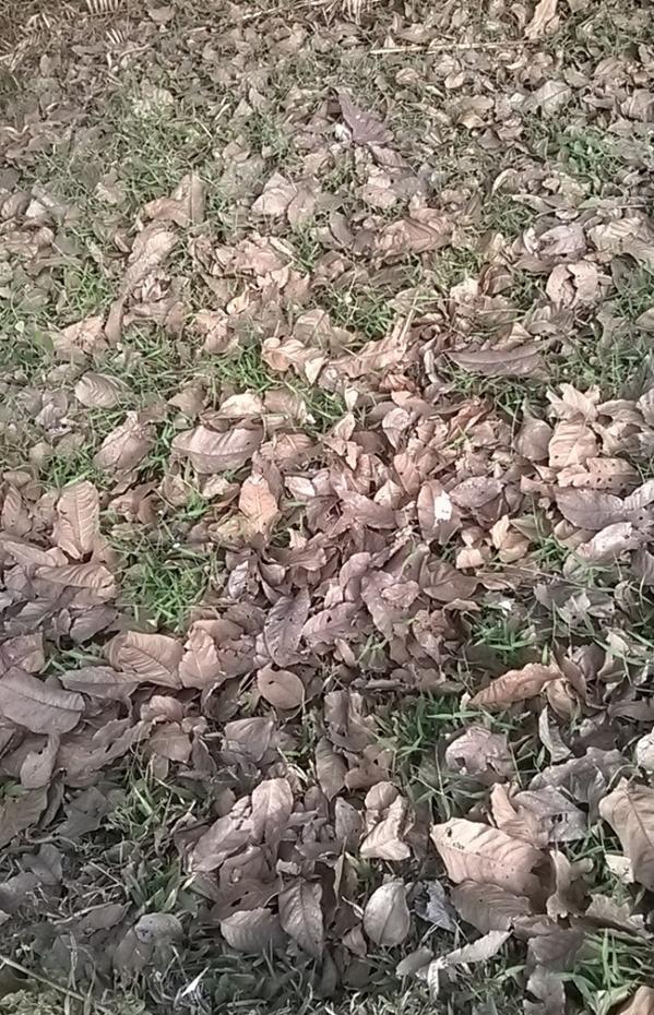 PaswanAshutosh's tweet image. #WPCpc