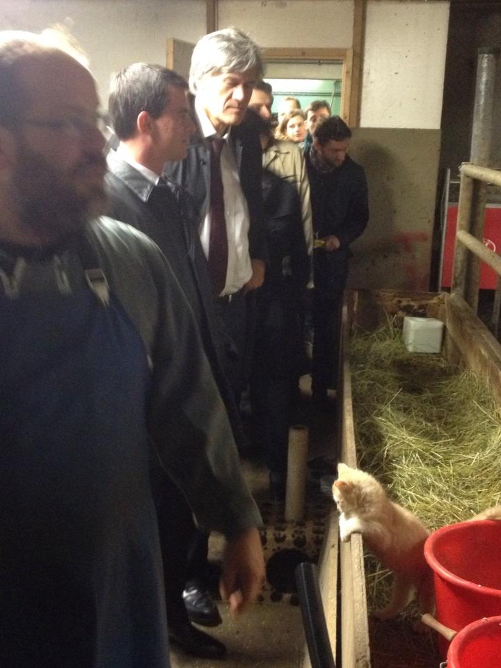 Collegamento permanente dell'immagine integrata