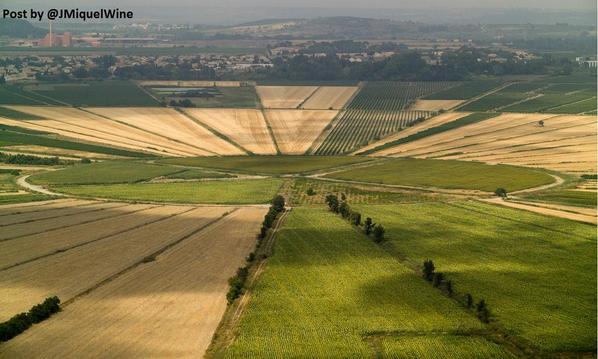 winewankers's tweet photo. GEOMETRIC Vineyards in DRY POND 
Never seen anything like it!
Étang de Montady S/FRANCE
#wine RT @JMiquelWine http://t.co/hQsBOFiwh0