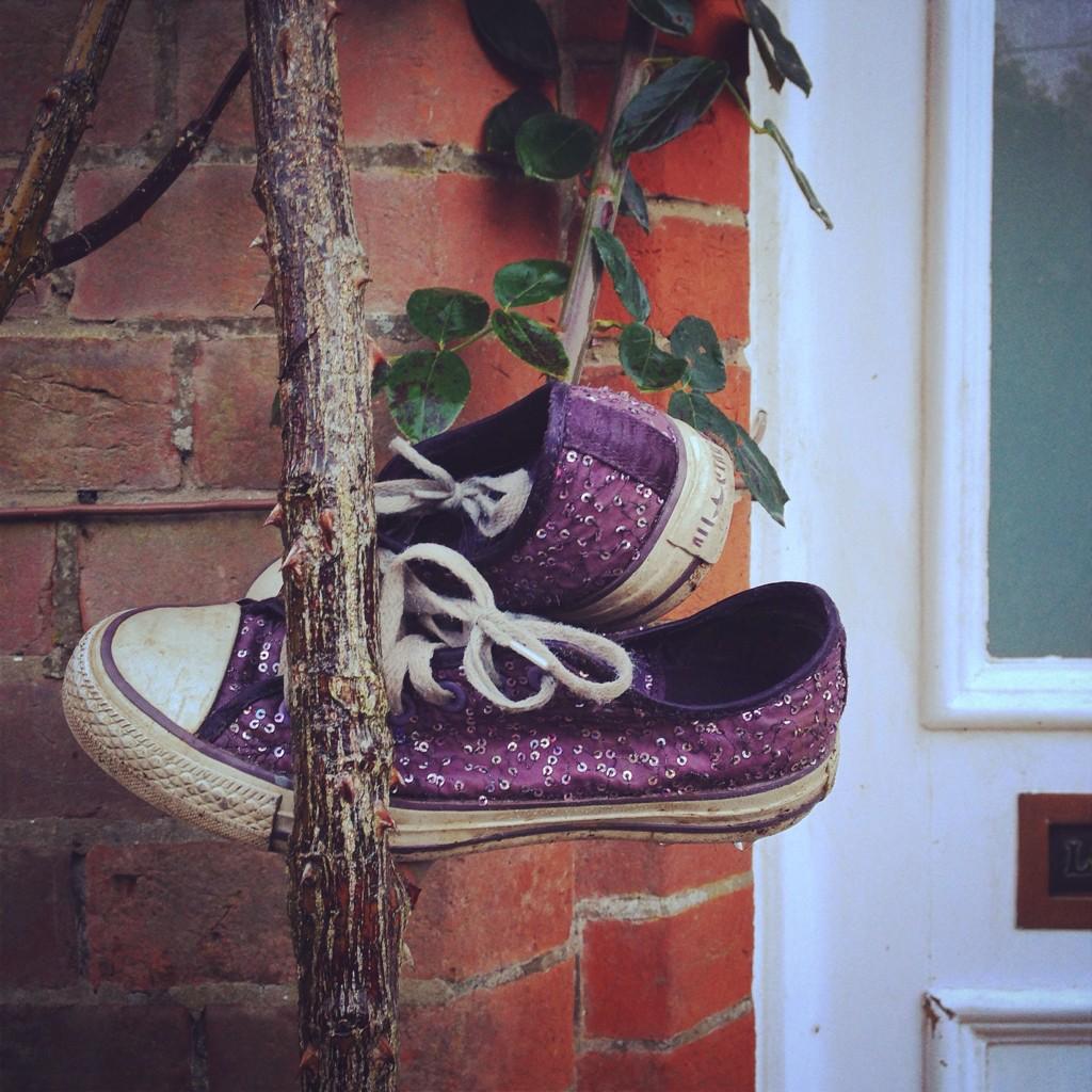 Embedded image permalink