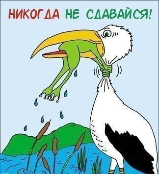 всем страждующим #впомощь