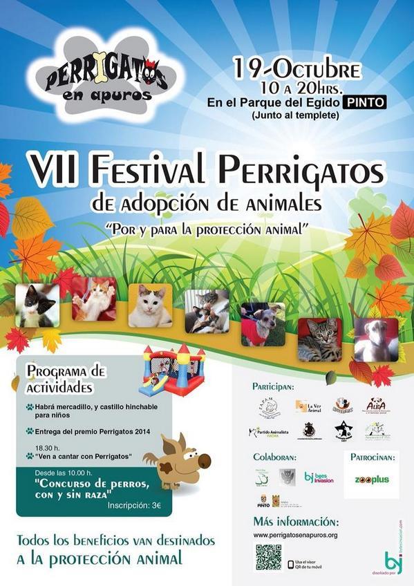 Congatos's tweet photo. Este domingo 19, Festival solidario #Perrigatos en #Pinto. ¿Te lo vas a perder? #AgendaAnimalera @LavozdePinto http://t.co/XLBOgg5uB4