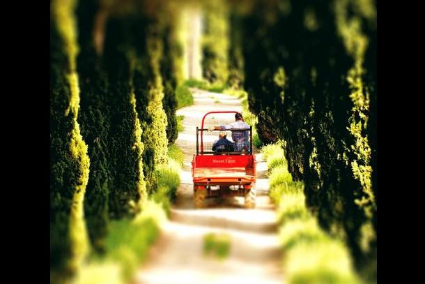 Embedded image permalink