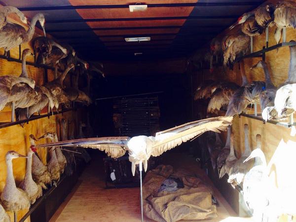 CraneWreckers's tweet photo. Making a few flying decoys for the spread http://t.co/pOhkmHnB2Z