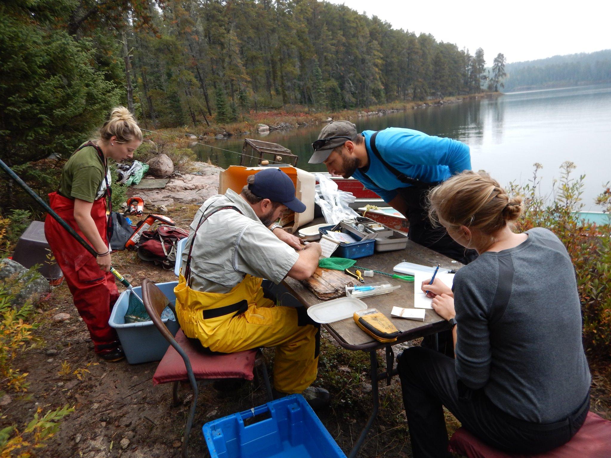 Canadian Water Network on Twitter "CdnWaterscapes RT IISD_ELA Hard