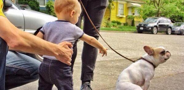 SitaFrunjida's tweet photo. Yo cuando veo un perro por la calle http://t.co/RgD2iD4r0S