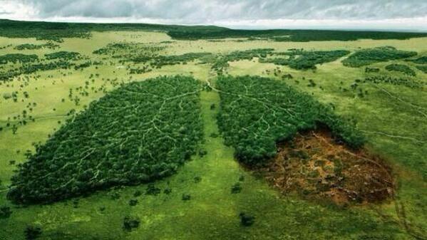 B0J9FRAIYAA0kdg.jpg:large