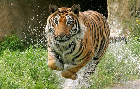 safekorea_____'s tweet photo. 【RETWEET】 ★ IF YOU REALLY ★ WANT ★ MORE ★ FOLLOWERS ★ #TopRetweet ★ #TopFollow ★ #TopFollowBack ★ #ItzBJJ ★ #Rt2Gain http://t.co/m5KlKLEfsf
