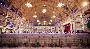 official_rpra's tweet photo. BHW Show of the Year 2015: http://t.co/qRXTRj76Zr http://t.co/DfnW5V4OZg