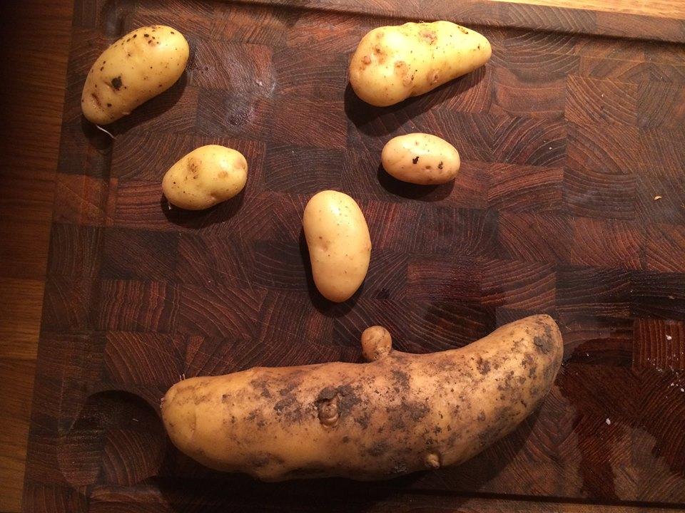 Embedded image permalink