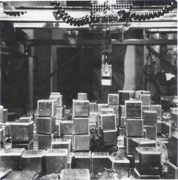 LingQL's tweet photo. "Artists who become seriously engaged in technological processes might remember what happened to 4 charming gerbils" http://t.co/dmdL1WLIdG
