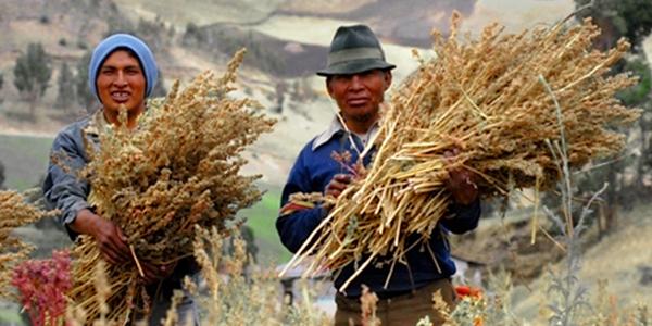 Internationaler Tag zur Bekämpfung der #Armut - Wie fair ist #Fairtrade wirklich? > bosnanova.de/magazin/wie-fa…