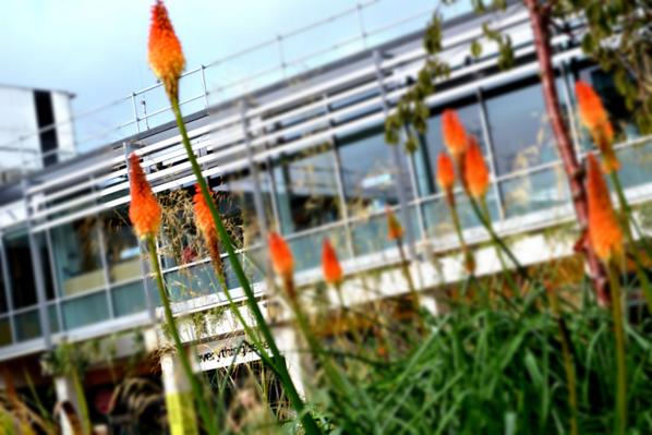 Embedded image permalink