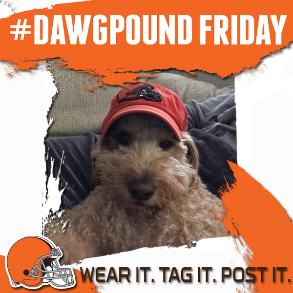 Browns tweet picture