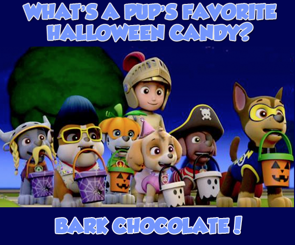 NickJuniorAsia's tweet photo. Happy Funny Friday! What's your favorite Halloween treat? http://t.co/V3yNSxGZa4