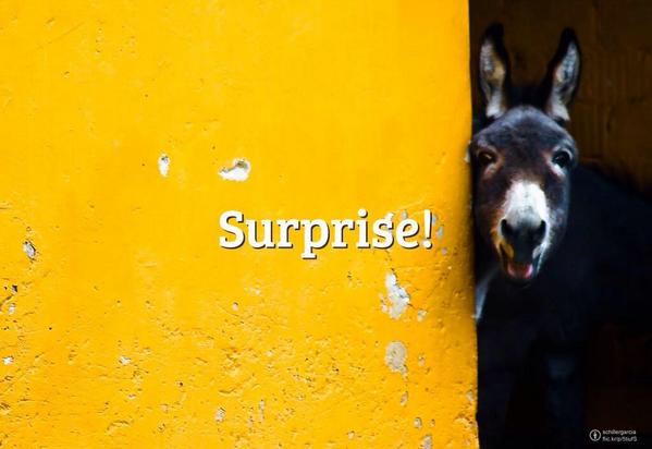 bienrecu's tweet photo. Hello Twitter! #Surprise! it's Friday! http://t.co/bJlzsbIkj3