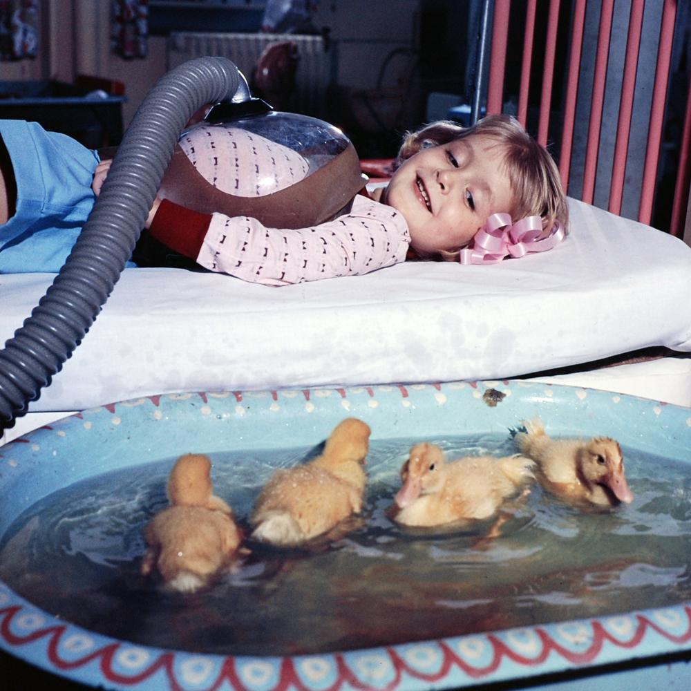 Embedded image permalink