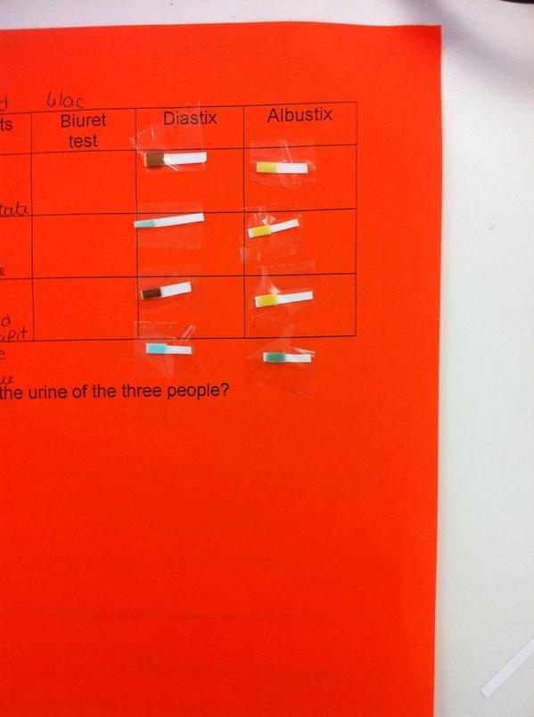 HermioneWebster's tweet photo. @wforceBiology urine analysis http://t.co/85MKWZfPX2