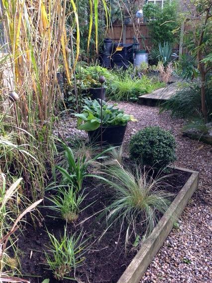 FatGrassDesign's tweet image. Current favourite view of the garden with re-planted grasses bed