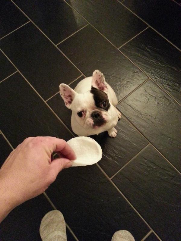 methebpd's tweet photo. My dog is so loyal.
Unless u got prawn crackers
Then he's anyone's best friend
#CRACKerHEAD http://t.co/EAqOBbb3iE