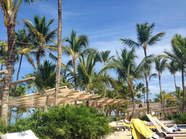 xemilymacsweenx's tweet image. How's you Friday #sweatingit