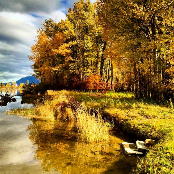 We are just loving the gorgeous #fall scenery from our Dematic @sprocketcmms office in #Montana!