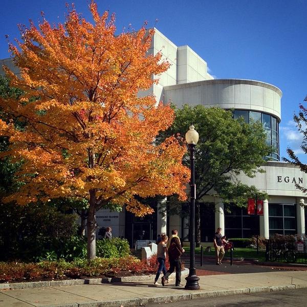 Northeastern's tweet photo. Foliage brightens the walk outside of the Egan Research Center. #northeastern #fallingforboston http://t.co/9sw8rEi0AB