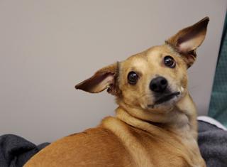 Embedded image permalink