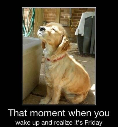VaughanAuto's tweet photo. #FridayFunny Happy Friday, everyone! http://t.co/NdZ9GXYRaf