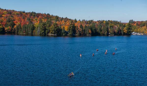 Algonquin_PP's tweet photo. What rush hour in #Algonquinpark looks like: http://t.co/Ep6dLy0svc