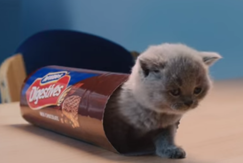 Embedded image permalink