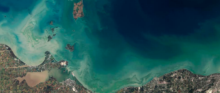 ছবি পার্মালিঙ্ক স্থাপিত