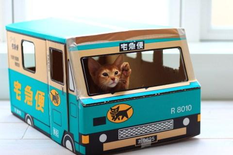 猫もご満悦 クロネコヤマトの段ボールで作る リアル猫の宅急便 が人気爆発中 Fundo