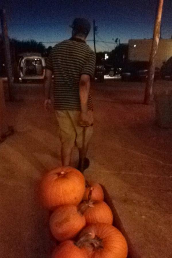 mcgee_kelsey's tweet photo. It's officially October now, I have my pumpkins 😊🎃 #fall #October #holidayseason http://t.co/rxxitiha8Z