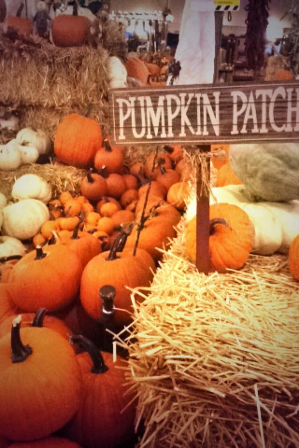 mcgee_kelsey's tweet photo. It's officially October now, I have my pumpkins 😊🎃 #fall #October #holidayseason http://t.co/rxxitiha8Z