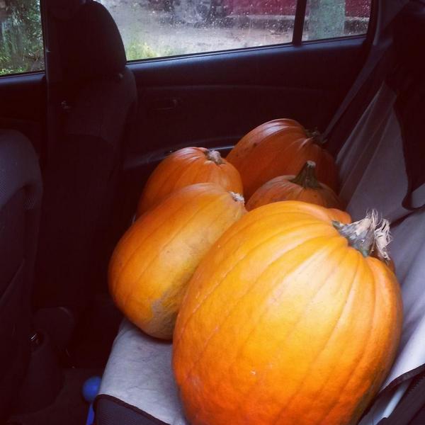 RightSomeGood tweet media