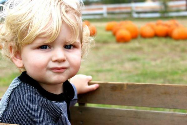 Alliegolden_'s tweet photo. My nephew is seriously perfect omg😍😩 http://t.co/0yVwca1Cca