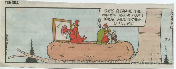 BirdsandWindows's tweet image. Happy Friday! A little humour for your Friday morning! #birds #windowcollisions #RT birdswindows.biology.ualberta.ca