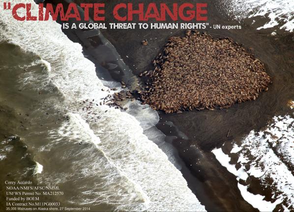 UN's tweet photo. .@Unrightswire experts call for #HumanRights in 2015 climate agreement: http://t.co/7HygkIrQtz #Climate2014 http://t.co/XxnKJKUEBY