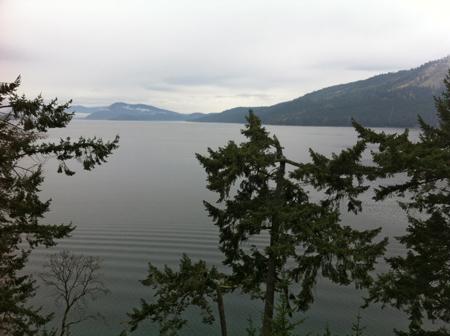 VictoriaSweeper's tweet image. Good Morning from the #rooftops #Victoria BC @victoriabuzzes @victoriabctweet @VictoriaBCToday