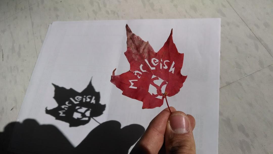 Embedded image permalink