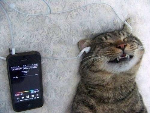 RecuerdaMemes's tweet photo. Cuando empieza a sonar tu canción favorita: http://t.co/4J90qsrWXq